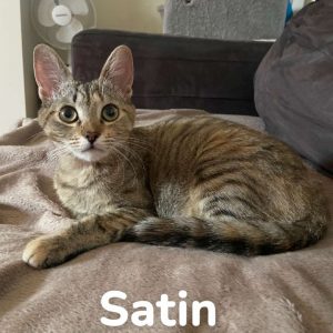 Satin