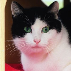 Igloo – Mâle, né le 1/11/2022