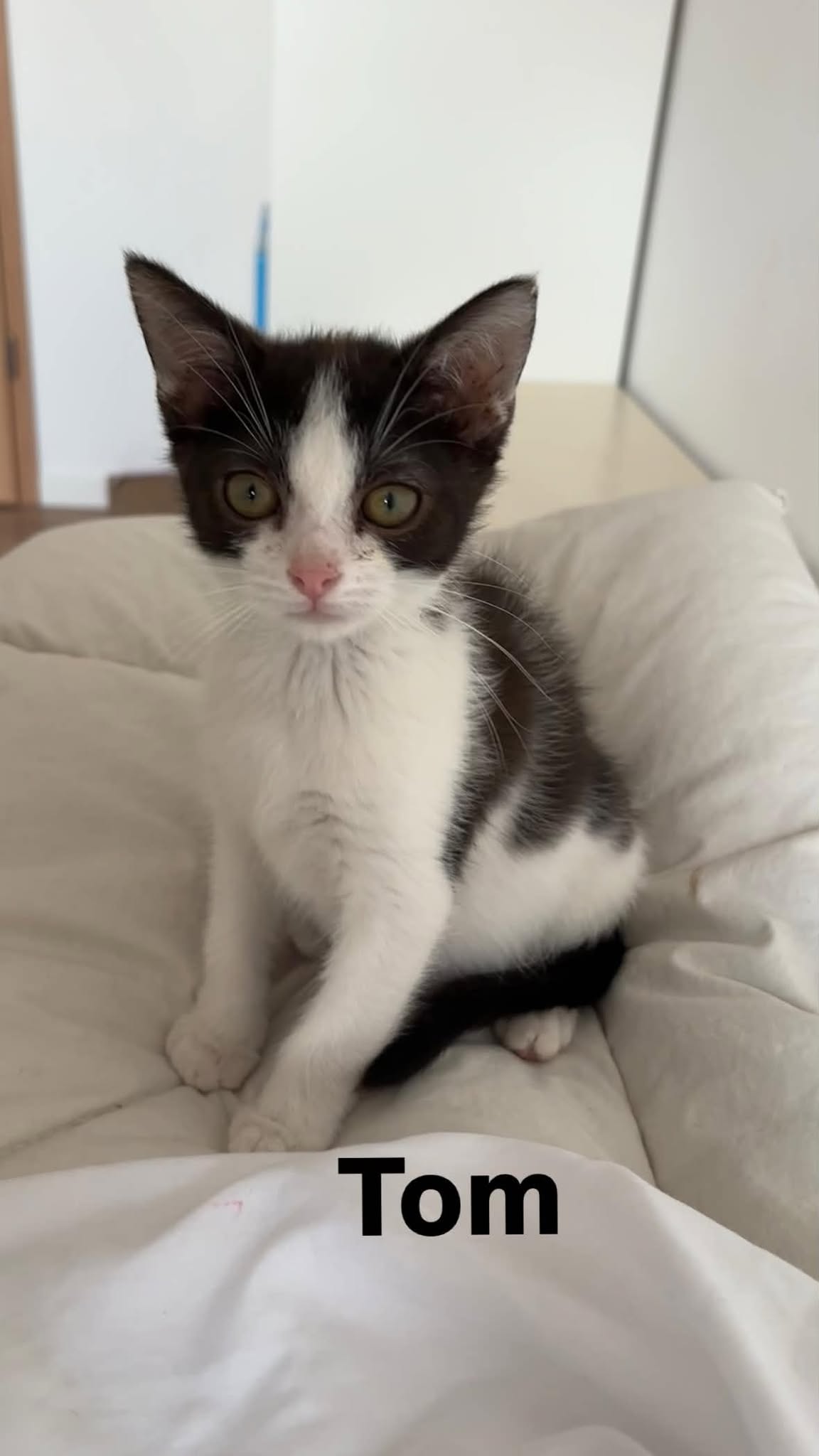Tom