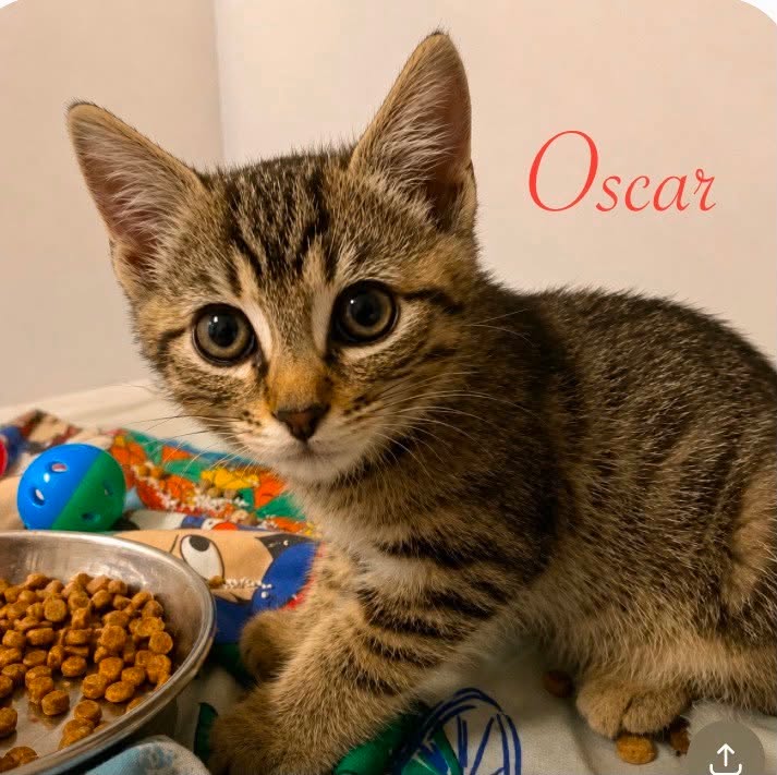 Oscar