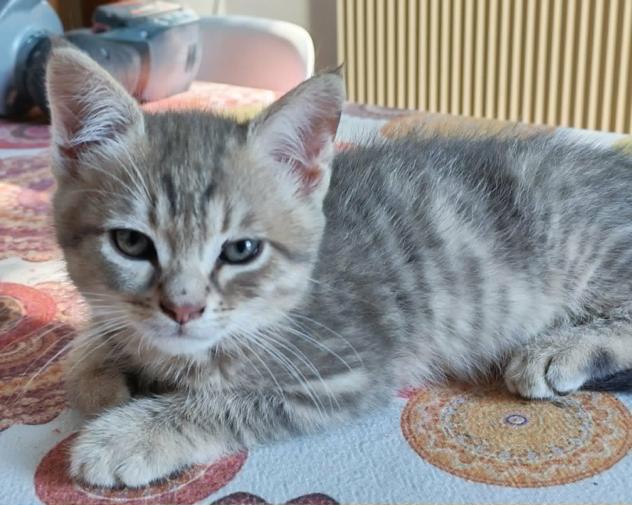 Charlie