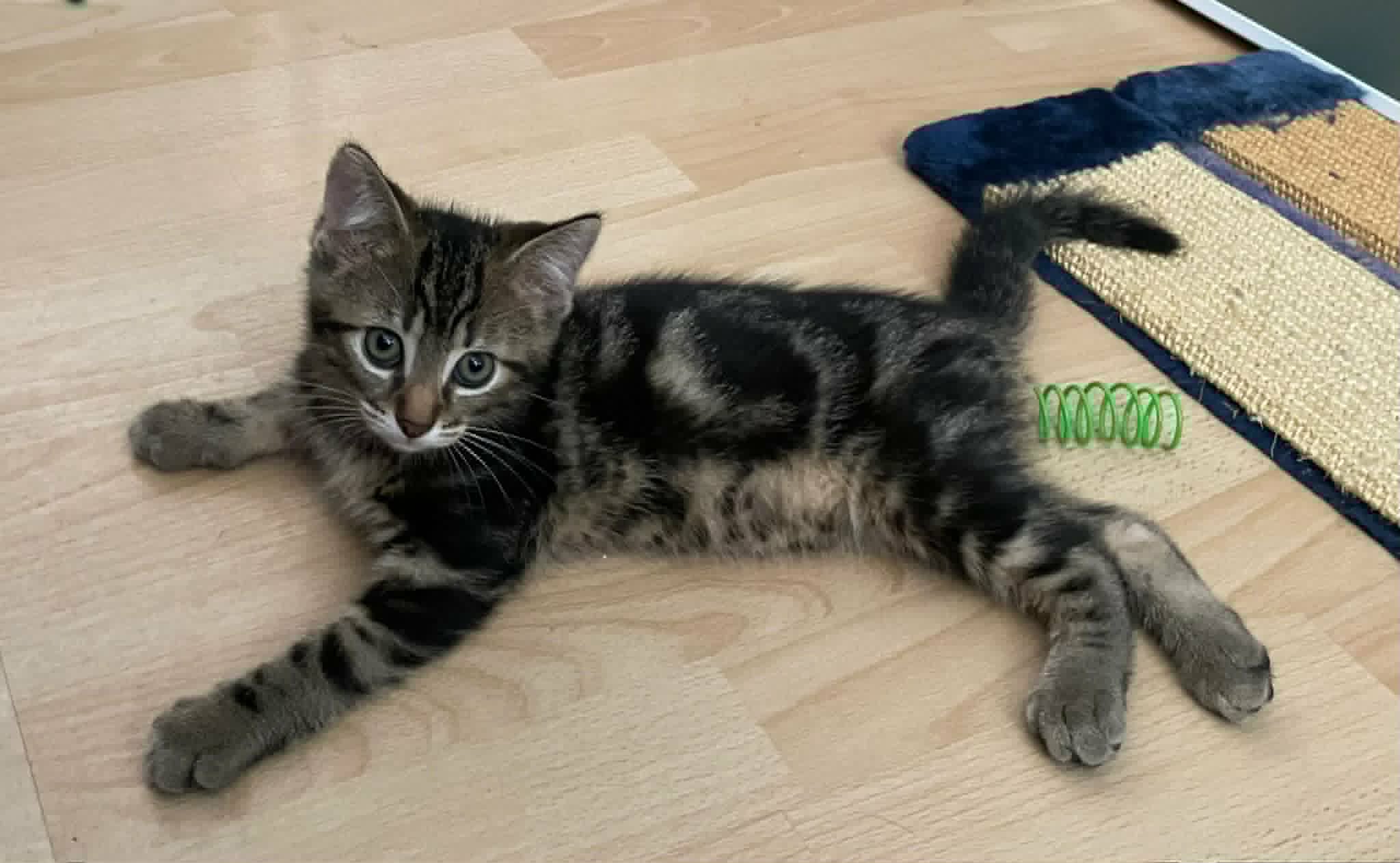 Melba