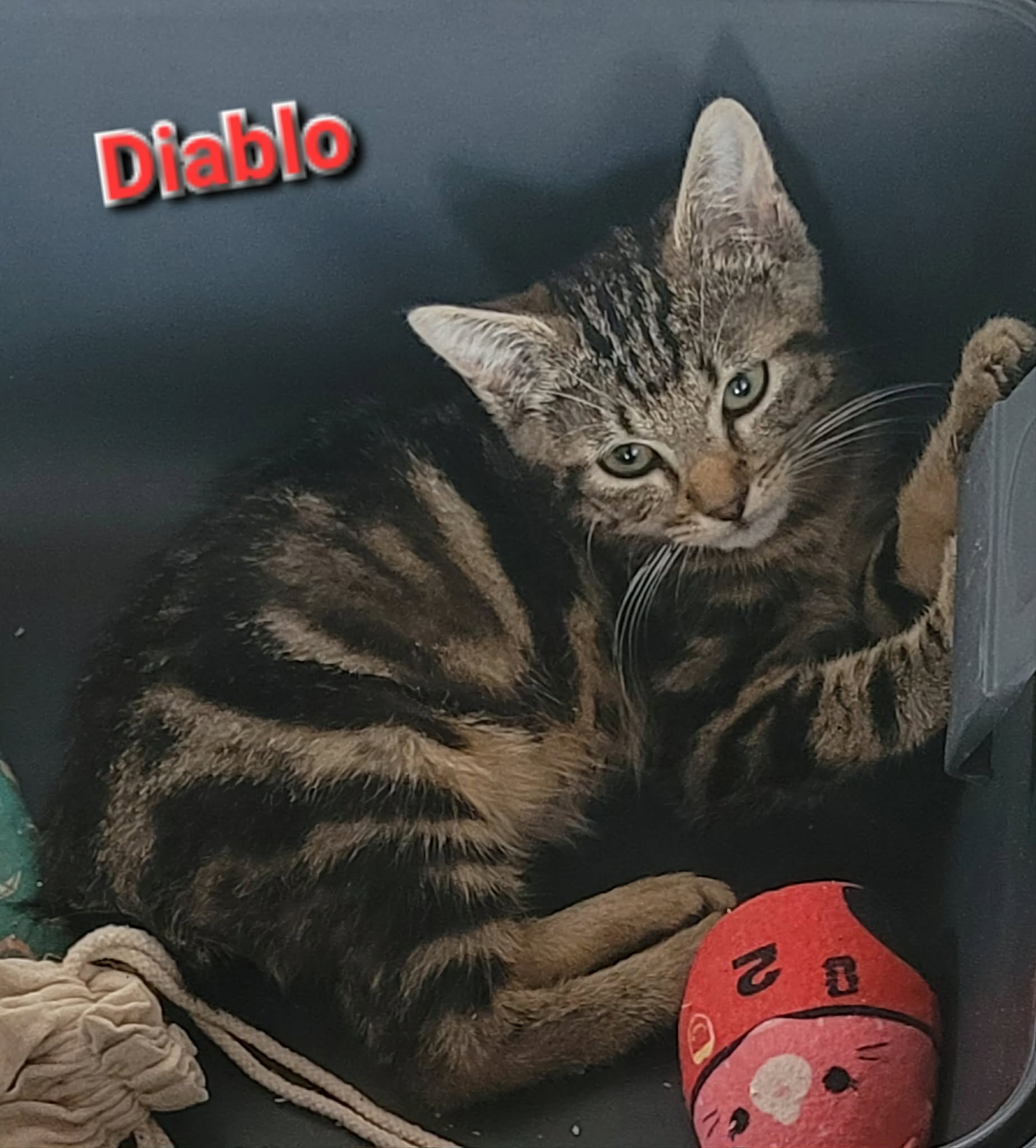 Diablo