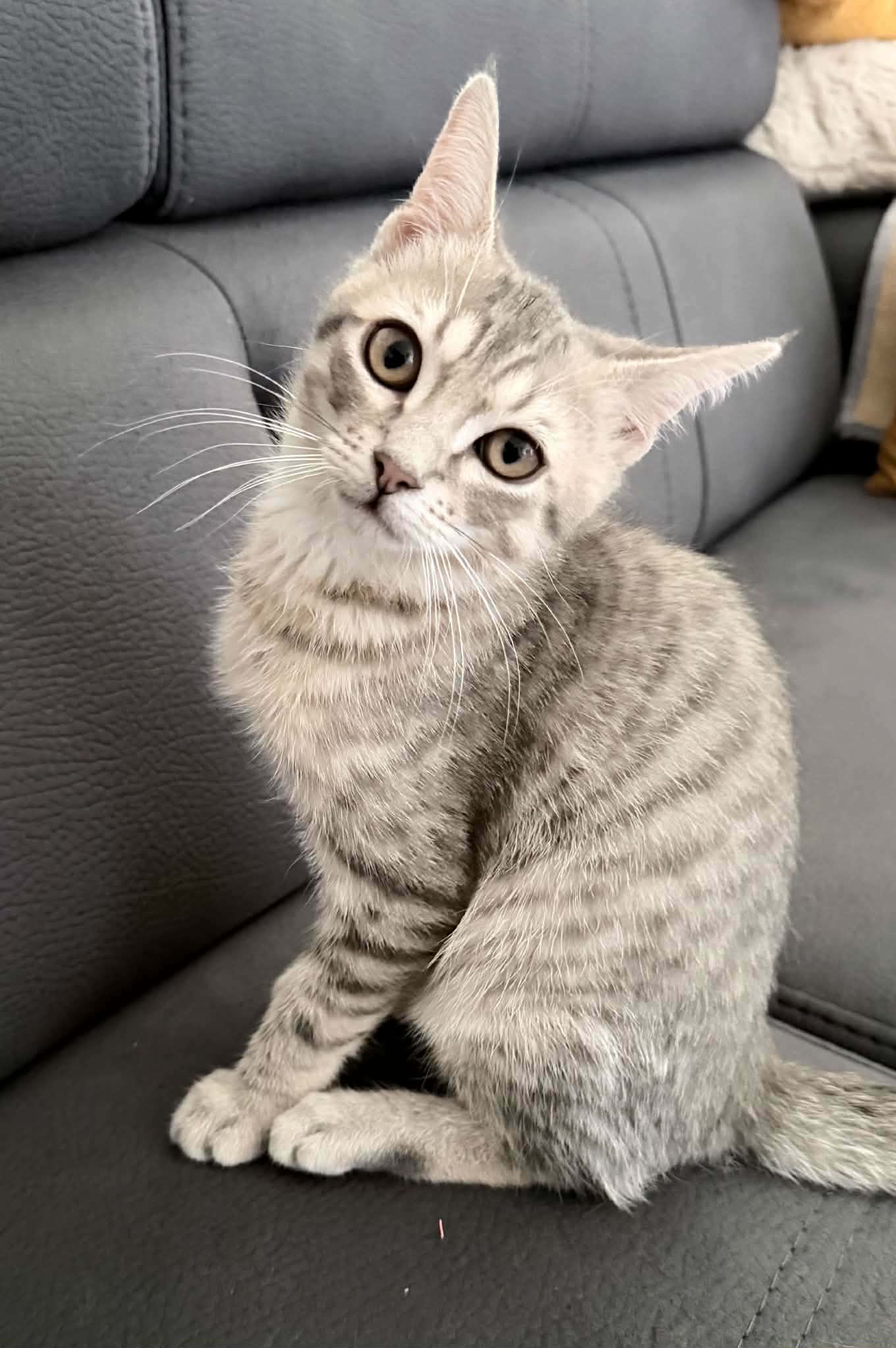Ajax