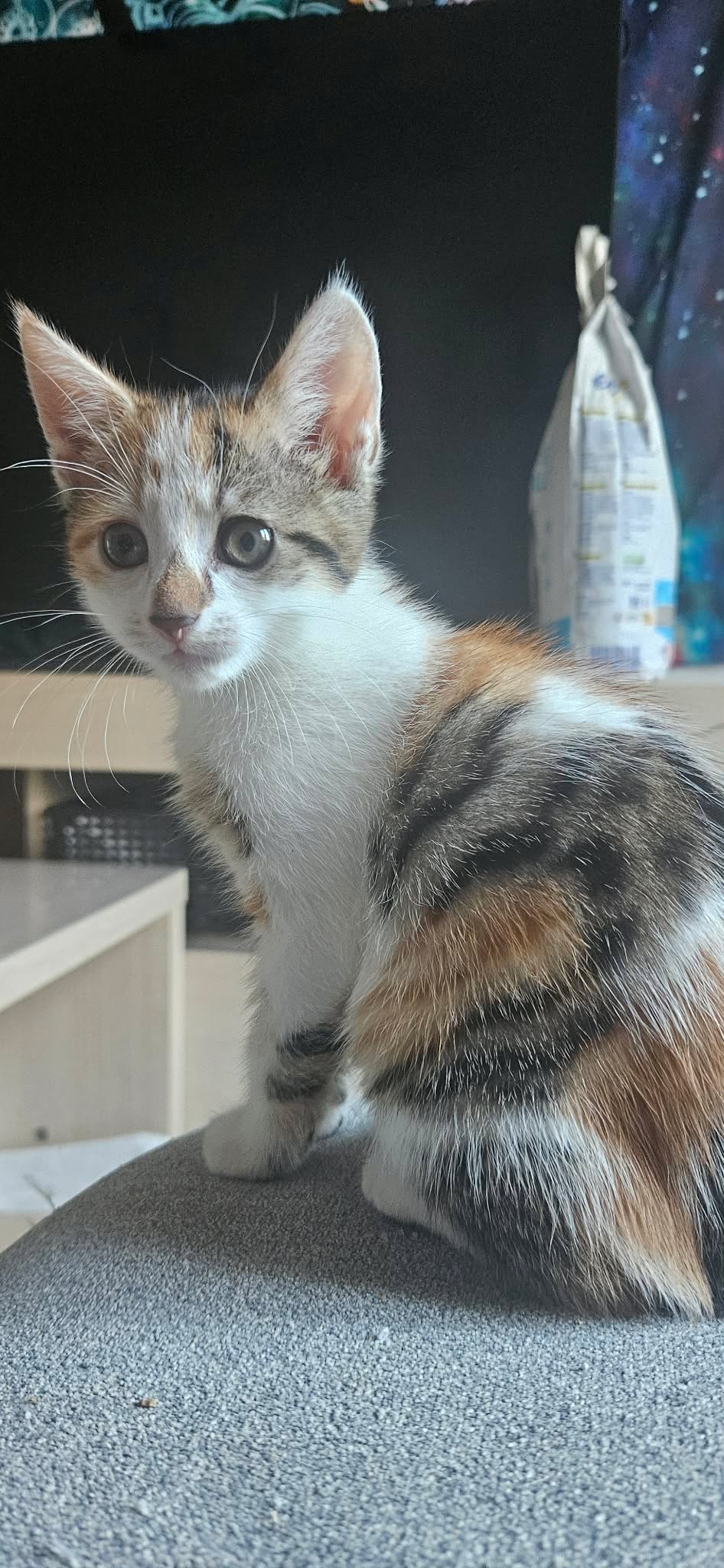 Vaïa