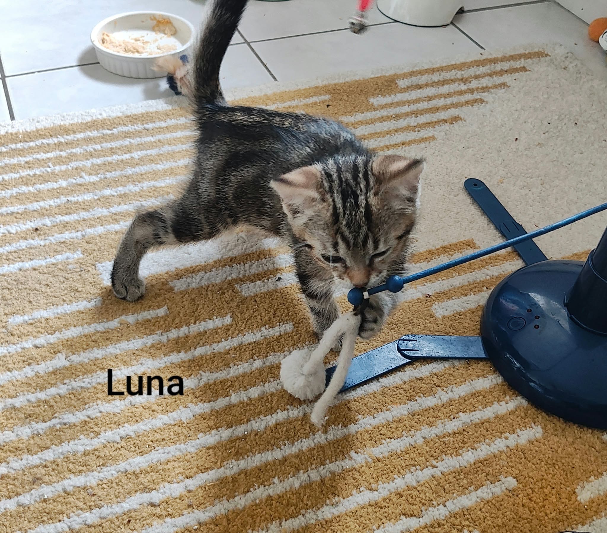 Luna