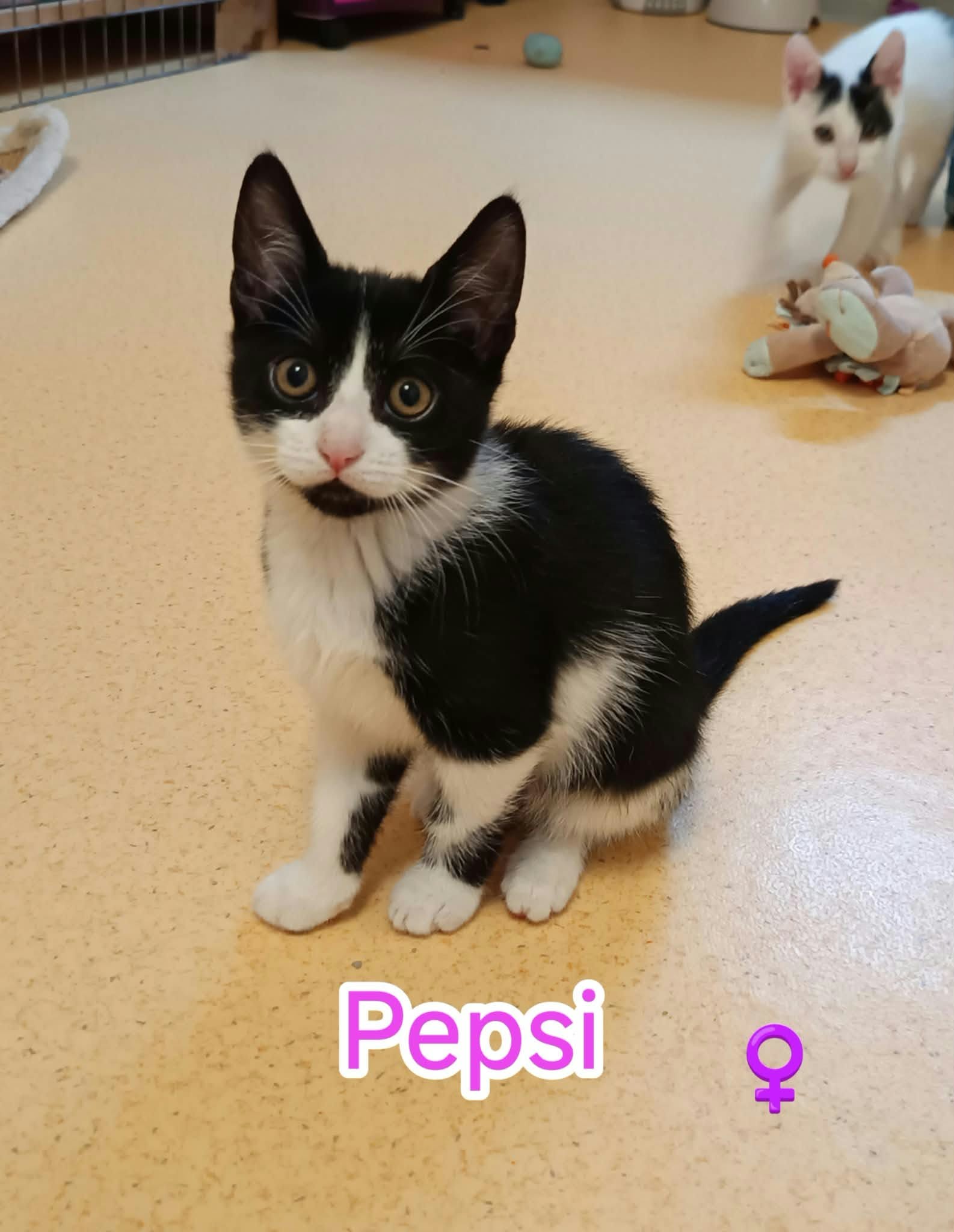 Pepsi
