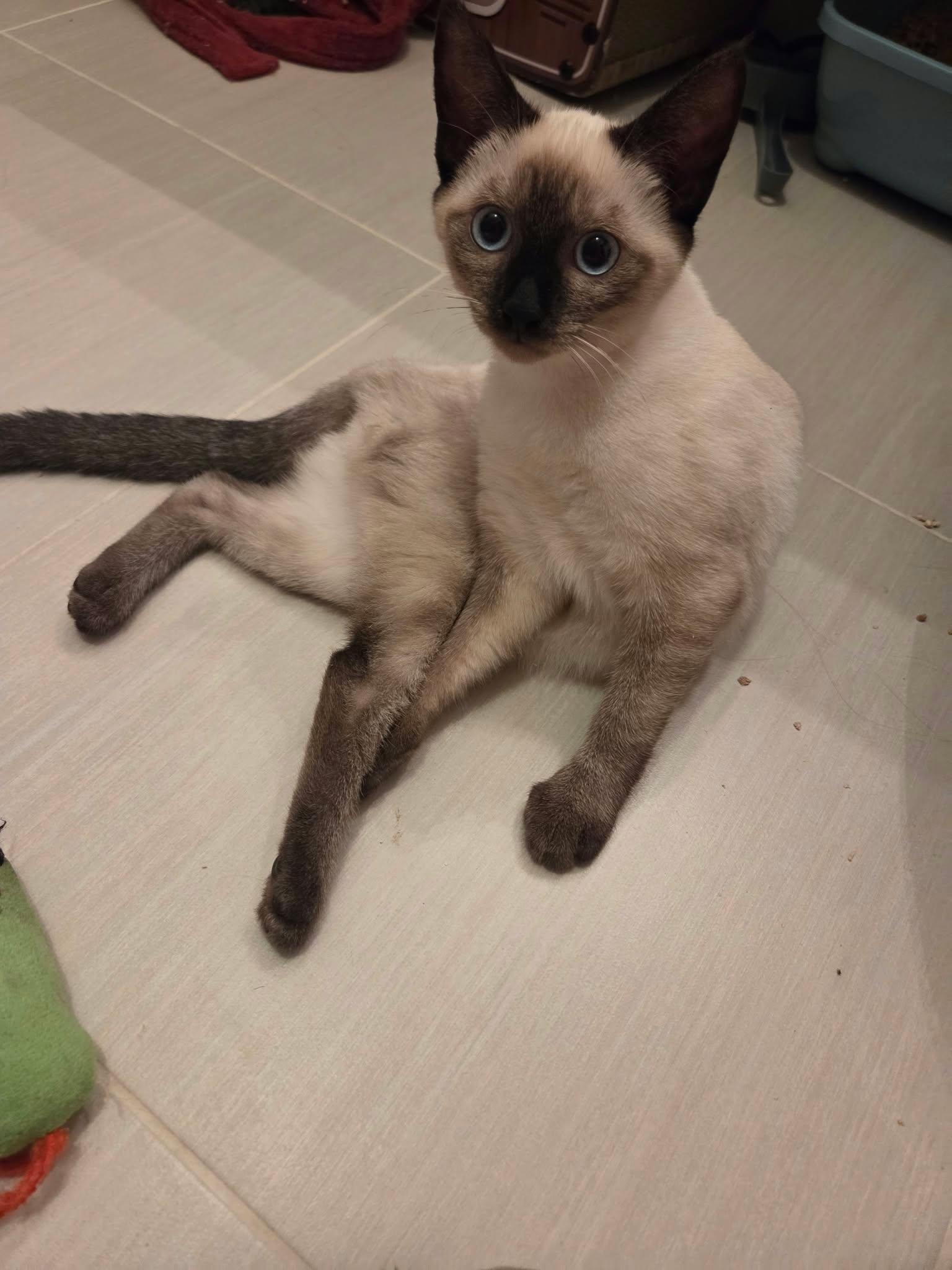 Jade