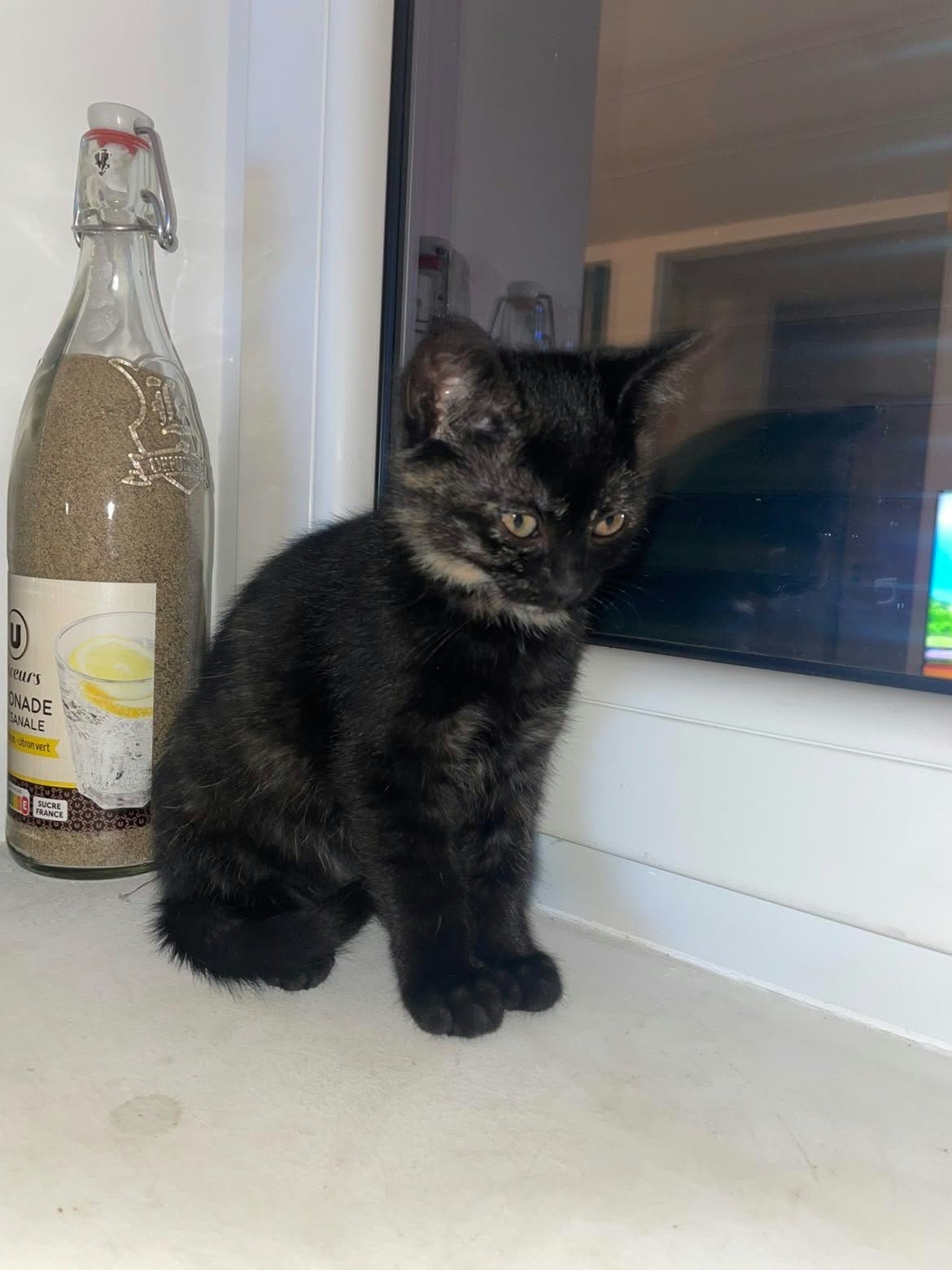 Nala